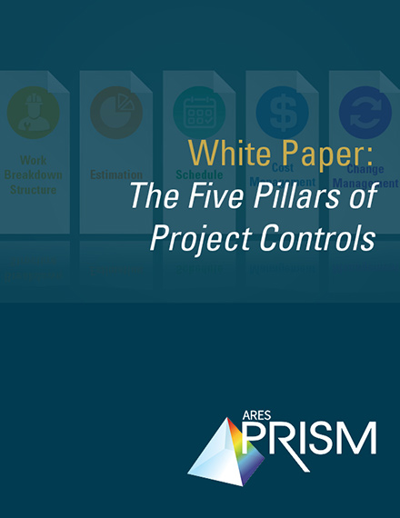 Download Project Controls White Paper