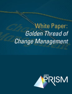 Download Good Project Controls White Paper